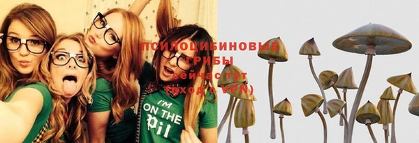 спайс Пестово