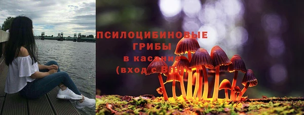 спайс Пестово