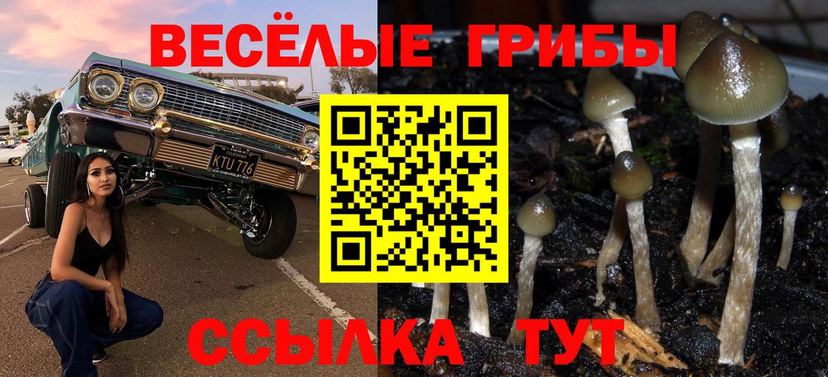 Галлюциногенные грибы GOLDEN TEACHER Алексеевка