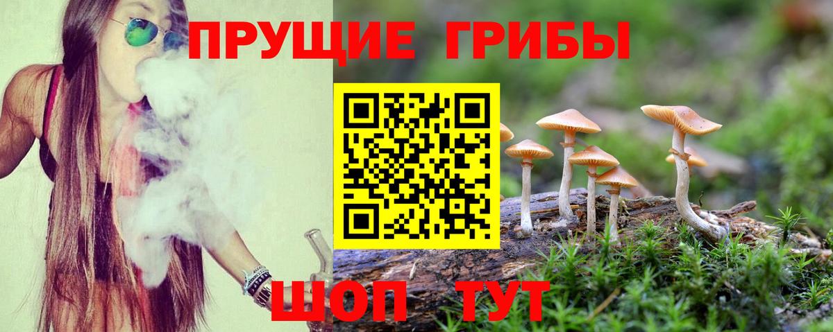 купить   Псилоцибиновые грибы Psilocybe  Алексеевка  Вход с VPN  Псилоцибиновые грибы ЛСД 