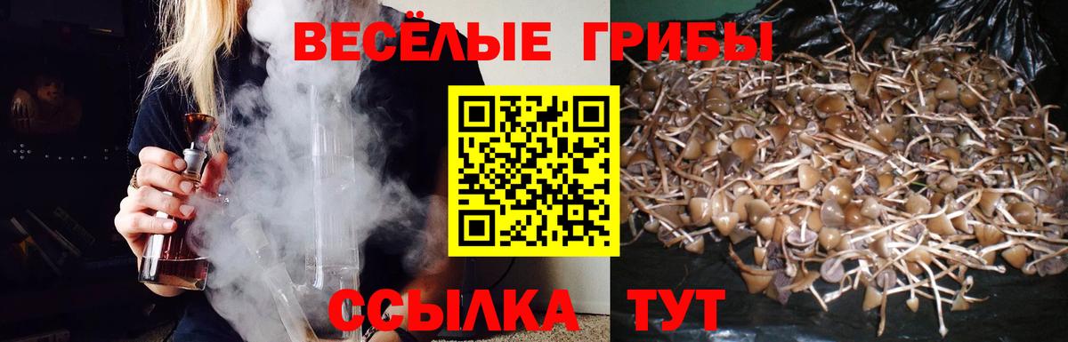 Галлюциногенные грибы MAGIC MUSHROOMS  Алексеевка 