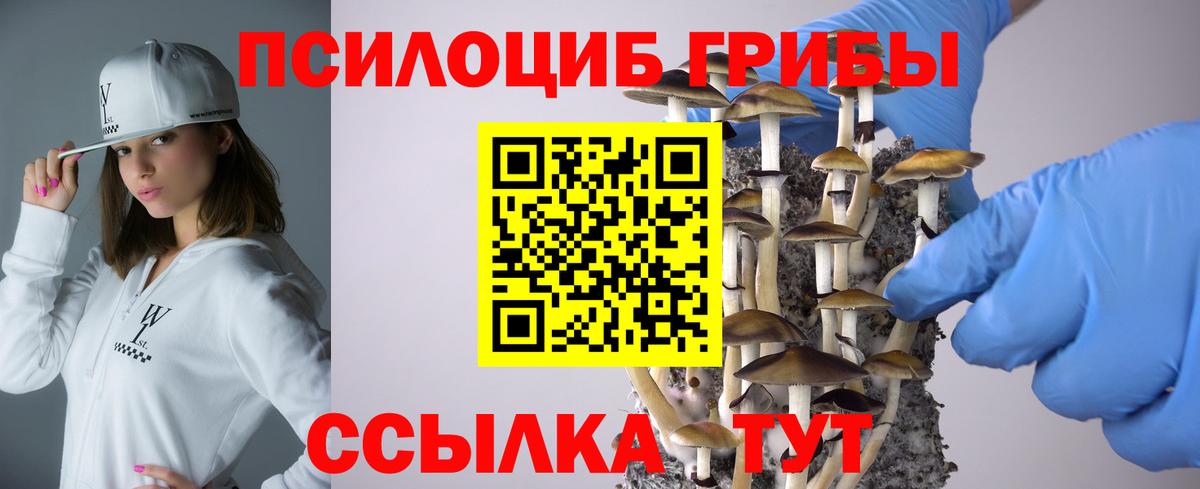 Псилоцибиновые грибы Psilocybe Алексеевка